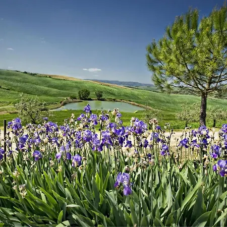 Sleeps 4 Pool Wifi Apartamento San Quirico dʼOrcia